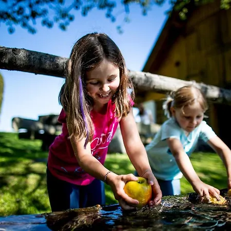 Roatmoaralm Almhuette Rachau