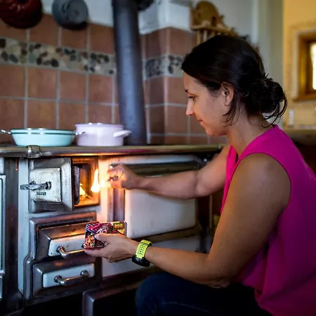 Roatmoaralm Almhuette *