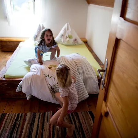 بيت للعطل Roatmoaralm Almhuette Rachau