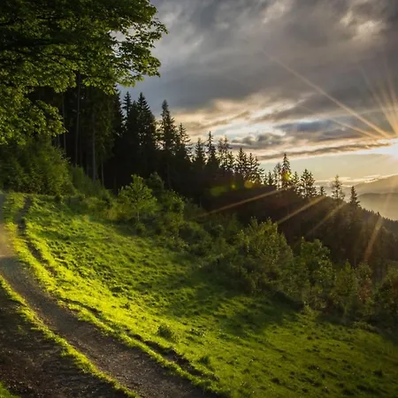 펜션 Roatmoaralm Almhuette