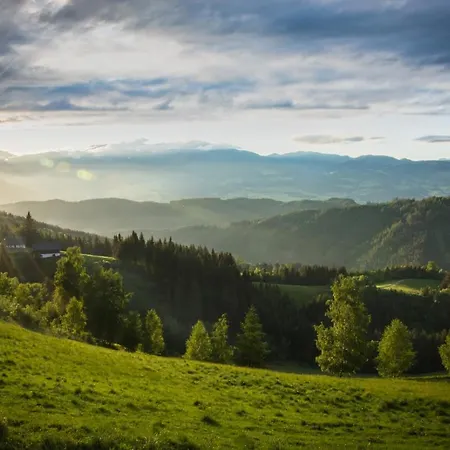 Holiday home Roatmoaralm Almhuette